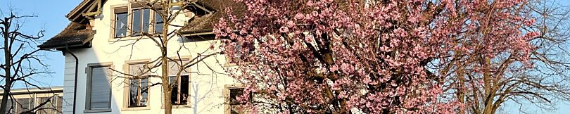zeigt ein Foto vom Alten Schulhaus im Frühling